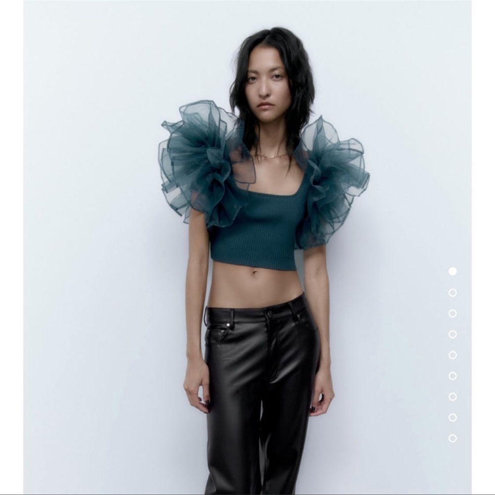 Zara Contrasting Organza Top